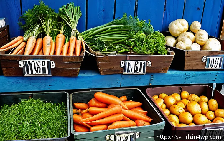 여행 중 요리 기법  혼자서 배우는 법 관련 이미지 1